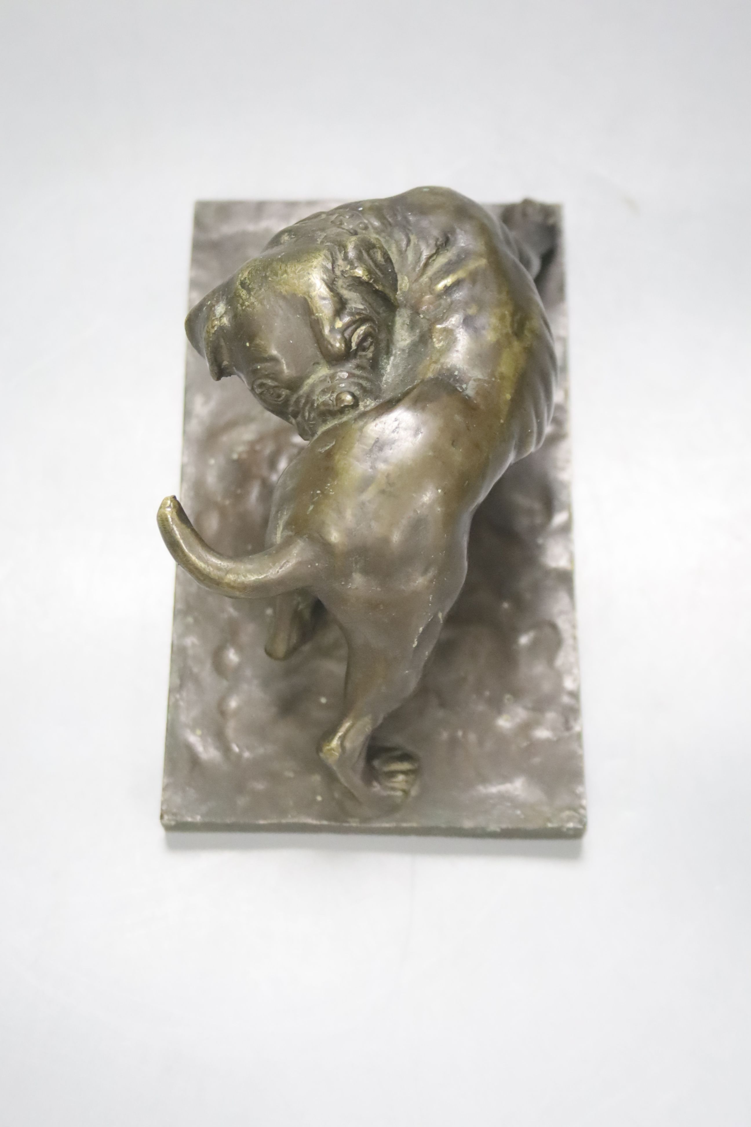 A late 19th / early 20th century bronze study of a dog, 8cm high